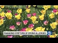 Doctors provide tips for allergy relief in CT