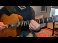 🔥 Bireli Lagrene Solo Guitar Magic 🔥 Gypsy Jazz Guitar