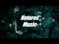 IHF - Arrival
