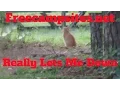 Freecampsites net Lets Me Down