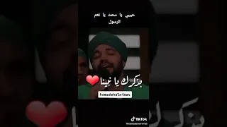 حبيبي يا محمد يا  نعم الرسول اللي عاشق المدينه      دندنها