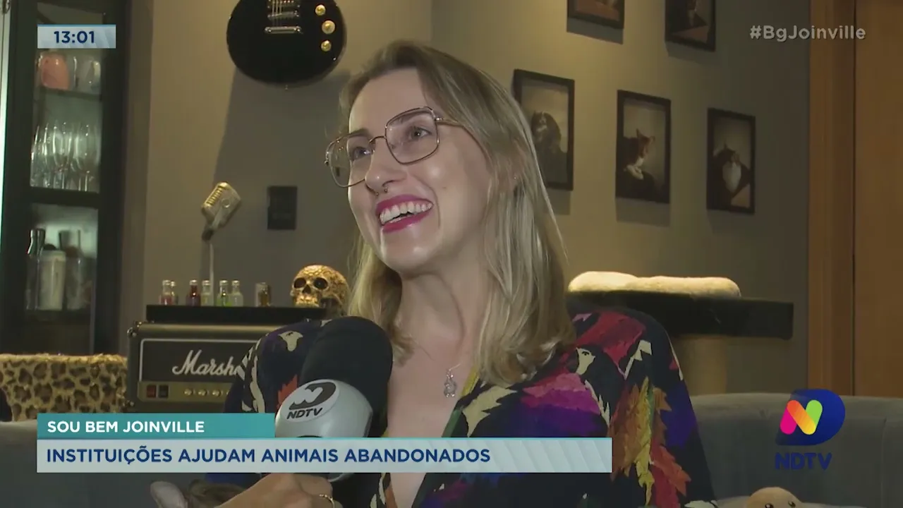 Sou Bem Joinville: Instituições ajudam animais abandonados