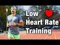 I Tried Zone 2 Training for 3 Months This Happened