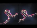 Visualize the Fascinating Roles of lncRNA