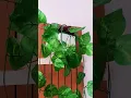Vídeo do produto