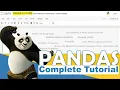 Python Pandas Complete Tutorial Beginner to Pro Level in One