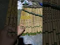 Lagu satu set suling bambu #flute #suling