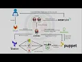 Automated Nodejs Application Deployment using Puppet