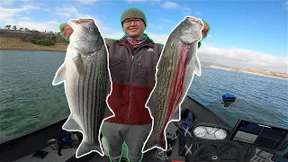 NEVER ENDING DOUBLE UPS on GIANT STRIPERS! - Striped Bass Fishing (Castaic Lake)