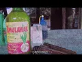 Download Lagu Minuman Jadul, Bir Temu Lawak Idolanya Anak 90 an di Kota Semarang