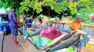 Beautiful Roadside Fish Market Near Canal Where Fresh Fish Unload Cut And Sell