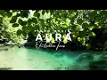 Music therapy 🌿Soothes the nervous system and refreshes the soul, relaxing