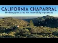 California Chaparral The Most Underrated Biome