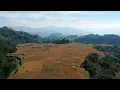 Download Lagu Satu Saja Pintaku - Iga Mawarni (Piano Instrumental by Sukarno Syahrir)