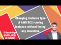 Changing Instance type of AWS EC2 running instance without facing any downtime