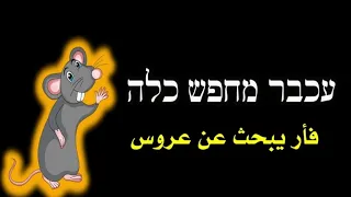 قصة عبرية للمبتدئين مترجمة للعربية الجزء الأول 