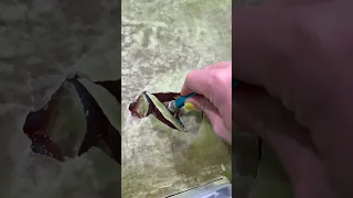 Slime Wax Layer ASMR 