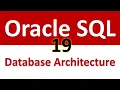 Oracle SQL Developer Tutorial For Beginners 19 - Oracle Database User Architecture
