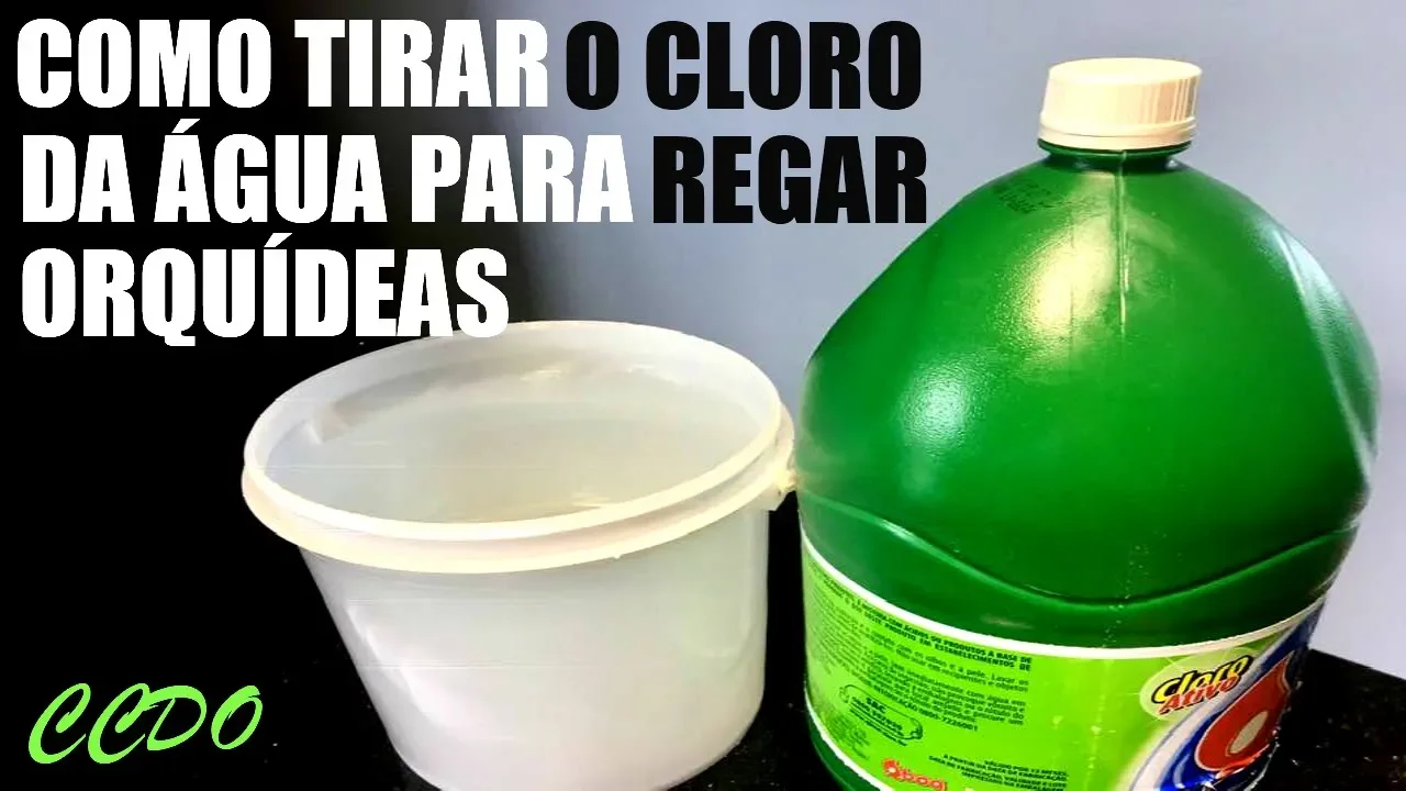 TIRE O CLORO DA ÁGUA ANTES DE REGAR SUAS ORQUÍDEAS PARA NÃO PREJUDICAR O DESENVOLVIMENTO CCDO