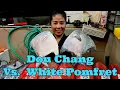 Download Lagu Which do you prefer? Dou Chang or White Pomfret? (28 Aug 2025 Thurs)