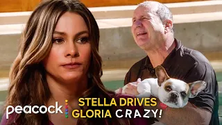 modern family wife or dog stella driving gloria insane for 9 minutes straight
