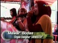 Download Lagu ORGAN DANGDUR JANESTA - Mawar Bodas