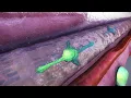 Muscle Regeneration