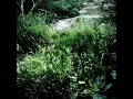 Pupuka - My efforts are worthless (Slowed)