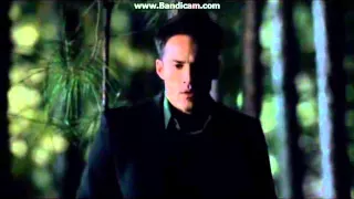 vampire diaries season 4 episode 9 klaus murdered 12 hybrids and tylers mom