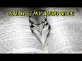 ISAIAH 53 NIV BIBLE with text