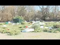 Messes found at some holiday tree recycling sites in Indianapolis