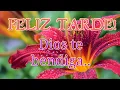 Dios te bendiga grandemente en esta bella tarde