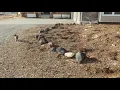 Our OnTrac delivery service is horrible Part 1