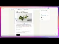 How to Edit ConvertKit Email Templates and Customize Your Branding Step-by-Step