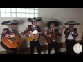Mariachi Loco - El Mariachi Loco (Live) - London, United Kingdom