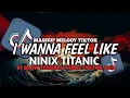 Download Lagu DJ I WANNA FEEL LIKE X NINIX TITANIC FULL SONG MAMAN FVNDY 2024