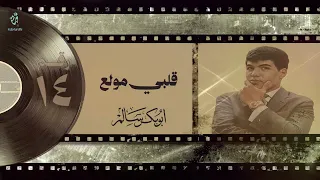 أبو بكر سالم   قلبي مولع     ألبوم                                     دندنها