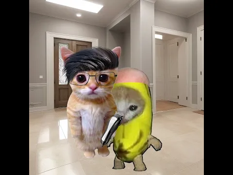 Which hairstyle suits Banana Cat better?