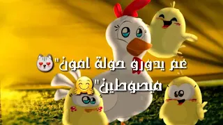 هالصيصان شو حلوين طيور الجنة حالات واتس اب للأطفال فقط الوصف فدوووه 