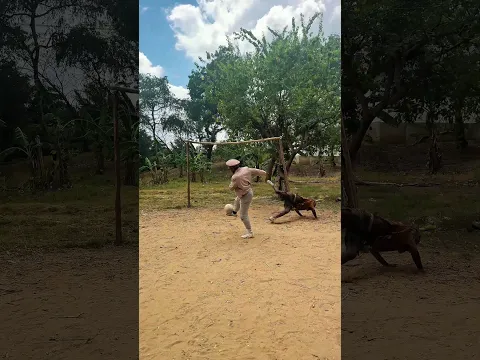 Ronaldo from Temu 😂😱😱 #shorts #funny #comedy