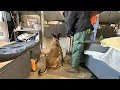 ODOC K9 Unit