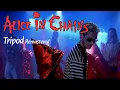 Download Lagu Alice In Chains - Tripod - Remastered