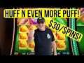 Download Lagu WOLFIE HOWLS JACKPOT!!! HUFF N EVEN MORE PUFF SLOT!