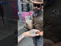 Subscribe for Real Life Baby Raptor