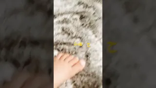 12 ديسمبر 2022 