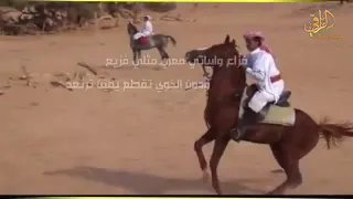 شيلة   الخط السريع    كلمات   محمد بن جمشان اداء   غريب ال مخلص دندنها