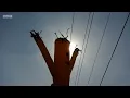A Clip from Adam Curtis Hypernormalisation