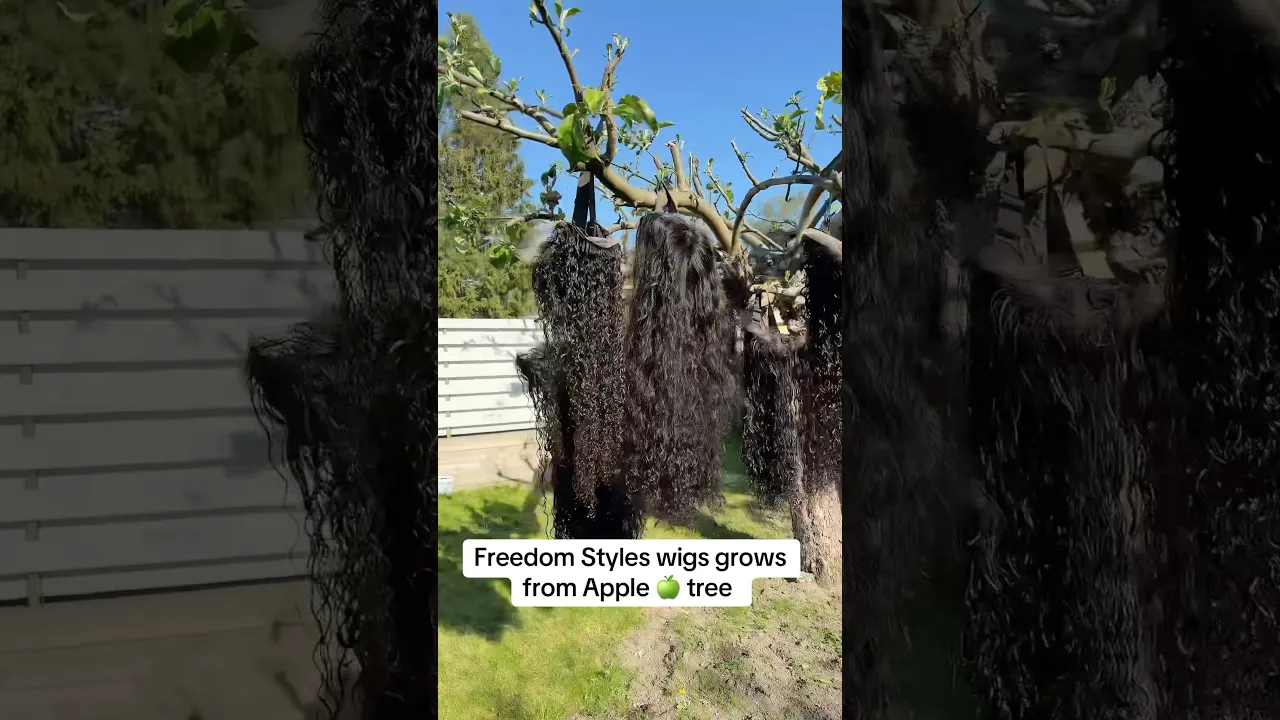 Apple Tree Wigs π