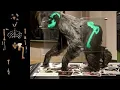 Lucy the Australopithecus Debunked in 11 Minutes