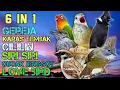 Download Lagu RAJANYA TEMBAKAN JADI SATU !!! KHUSUS TEMBAKAN KASAR !!! JEDA 30 DETIK